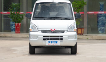 Wuling Glory Cargo EV full