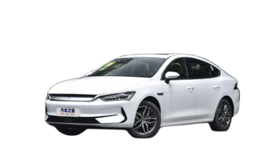 ЛОГОТИП BYD Qin flagship 600