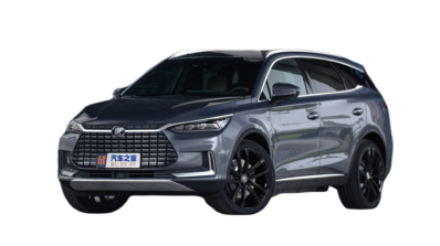ЛОГОТИП BYD TANG TOP