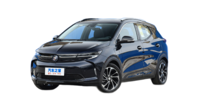 ЛОГОТИП Buick VElite7